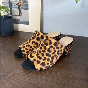 Aldo Alaska Leopard Print Open-Toe Block Heel Mules